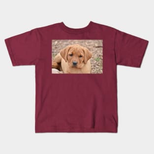 Puppy Cuteness Kids T-Shirt